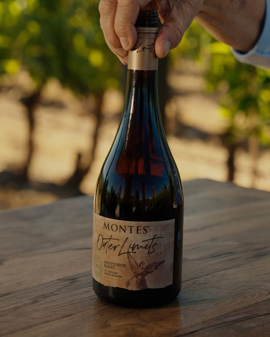 Sauvignon Blanc, Montes Outer Limits, Chile