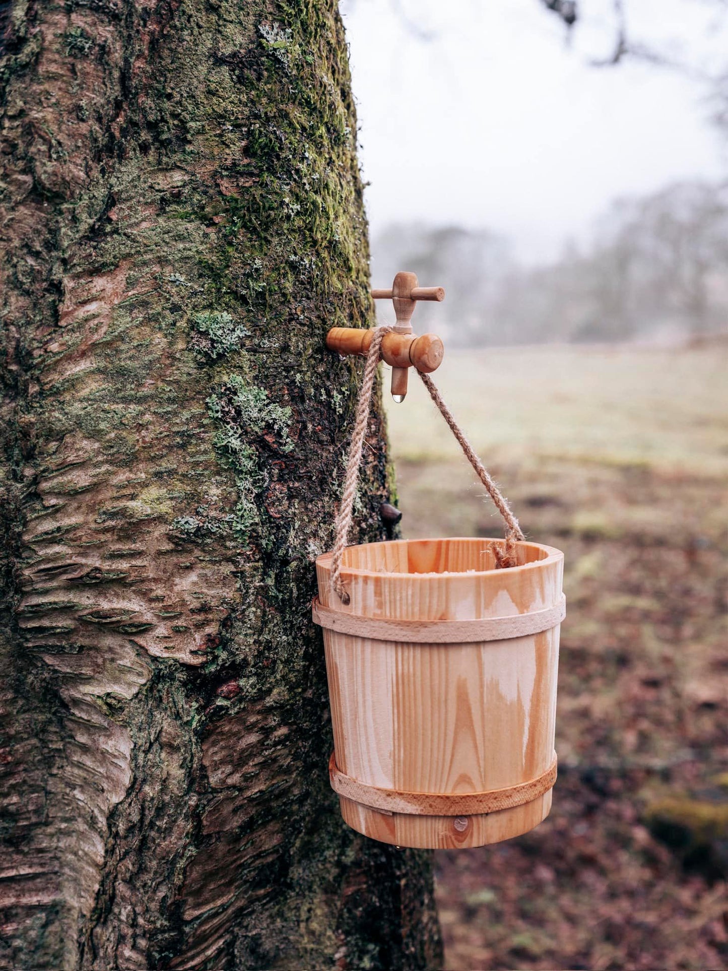 Birkintree Birchwater 3x100ml 0%