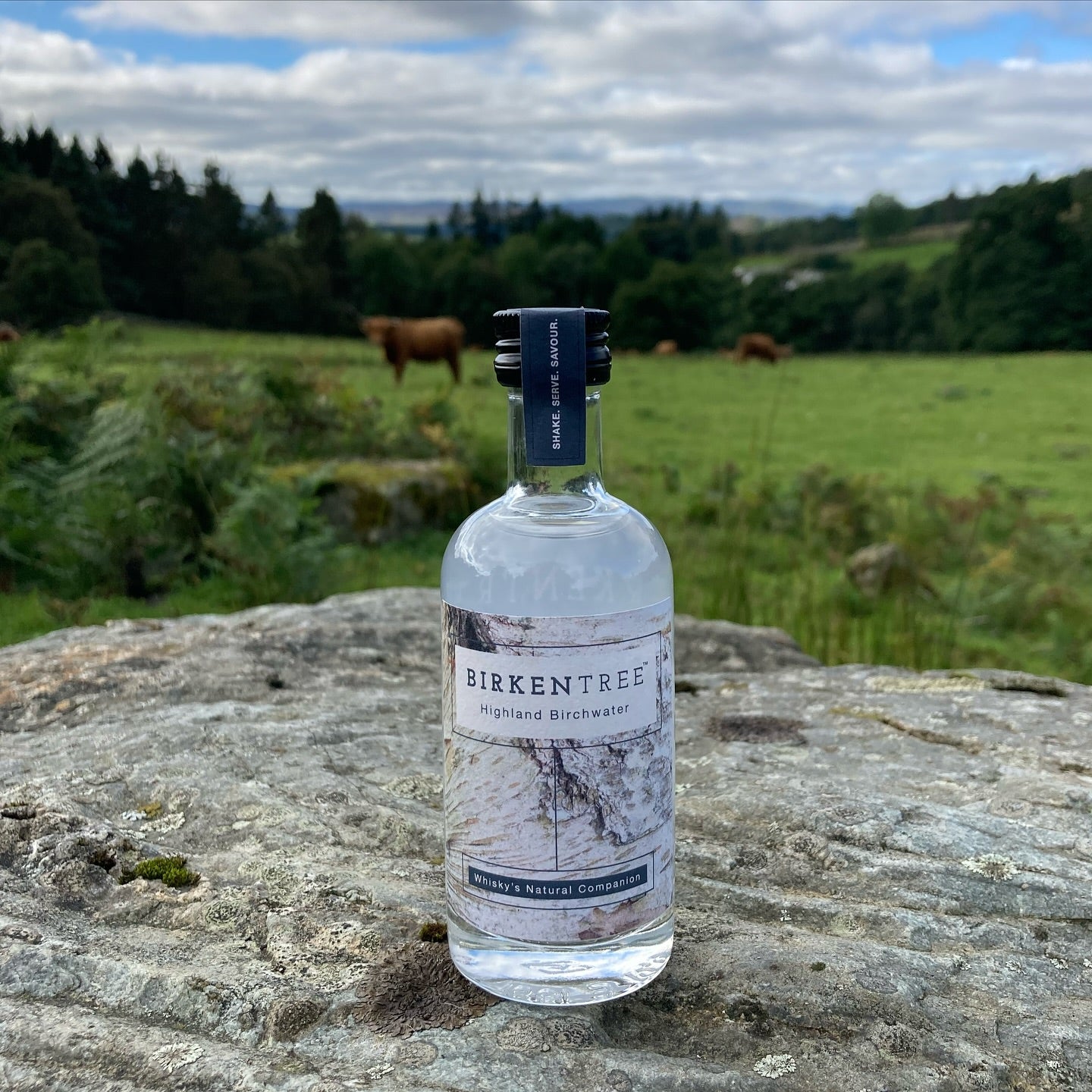 Birkintree Birchwater 3x100ml 0%