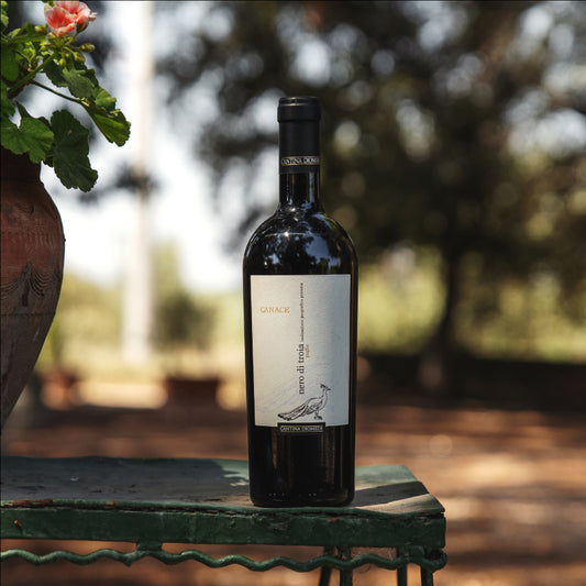 Nero di Troia, Cantina Diomede, 'Canace', Italy, 750ml