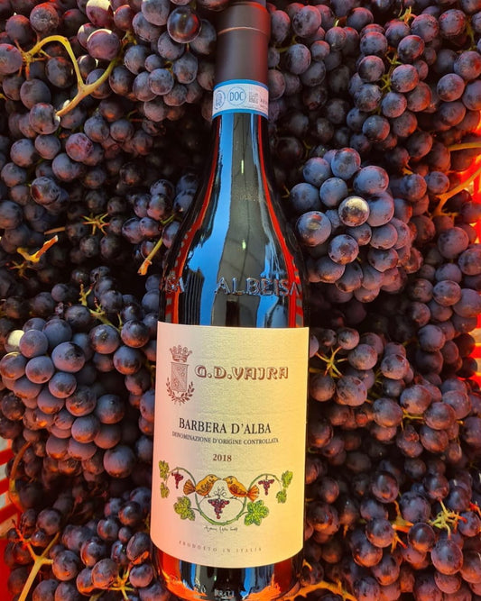 Barbera, G.D. Vajra, 'Barbera d'Alba', 2023, Italy
