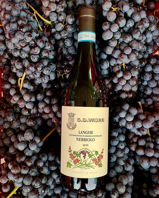 Nebbiolo, G.D. Vajra, 'Langhe Nebbiolo', 2023, Italy