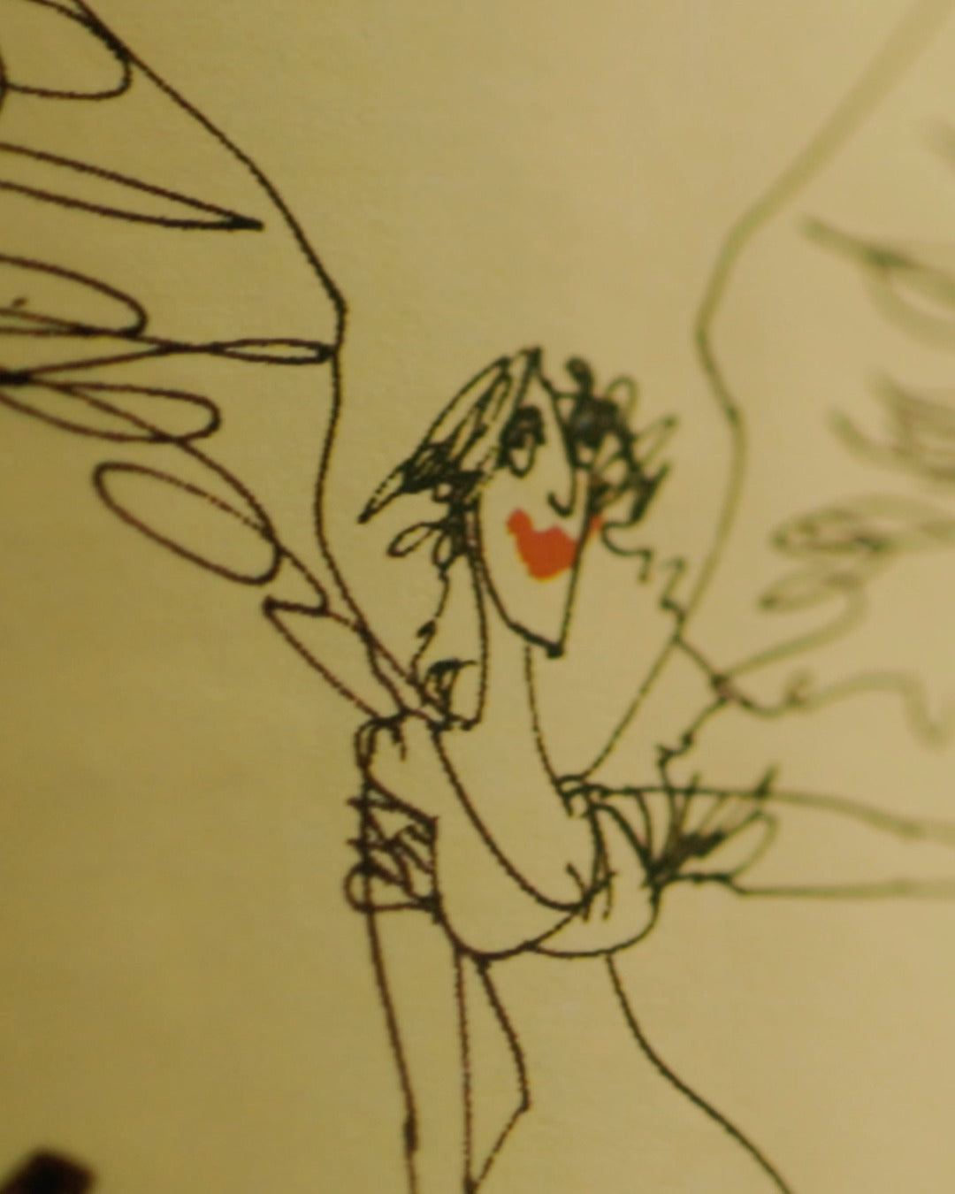 Syrah, Montes, `Folly`, Apalta Vineyard, Chile