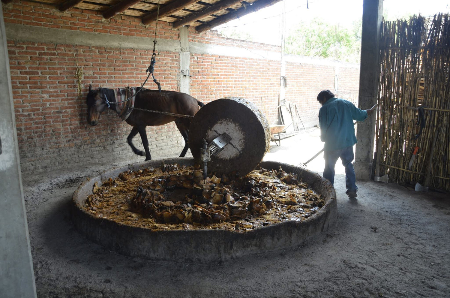 MEZCAL