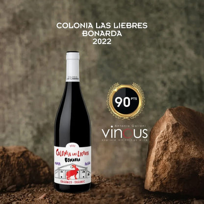 Bonarda, Altos Las Hormigas, `Colonia Las Liebres` Argentina, 750ml, 13%