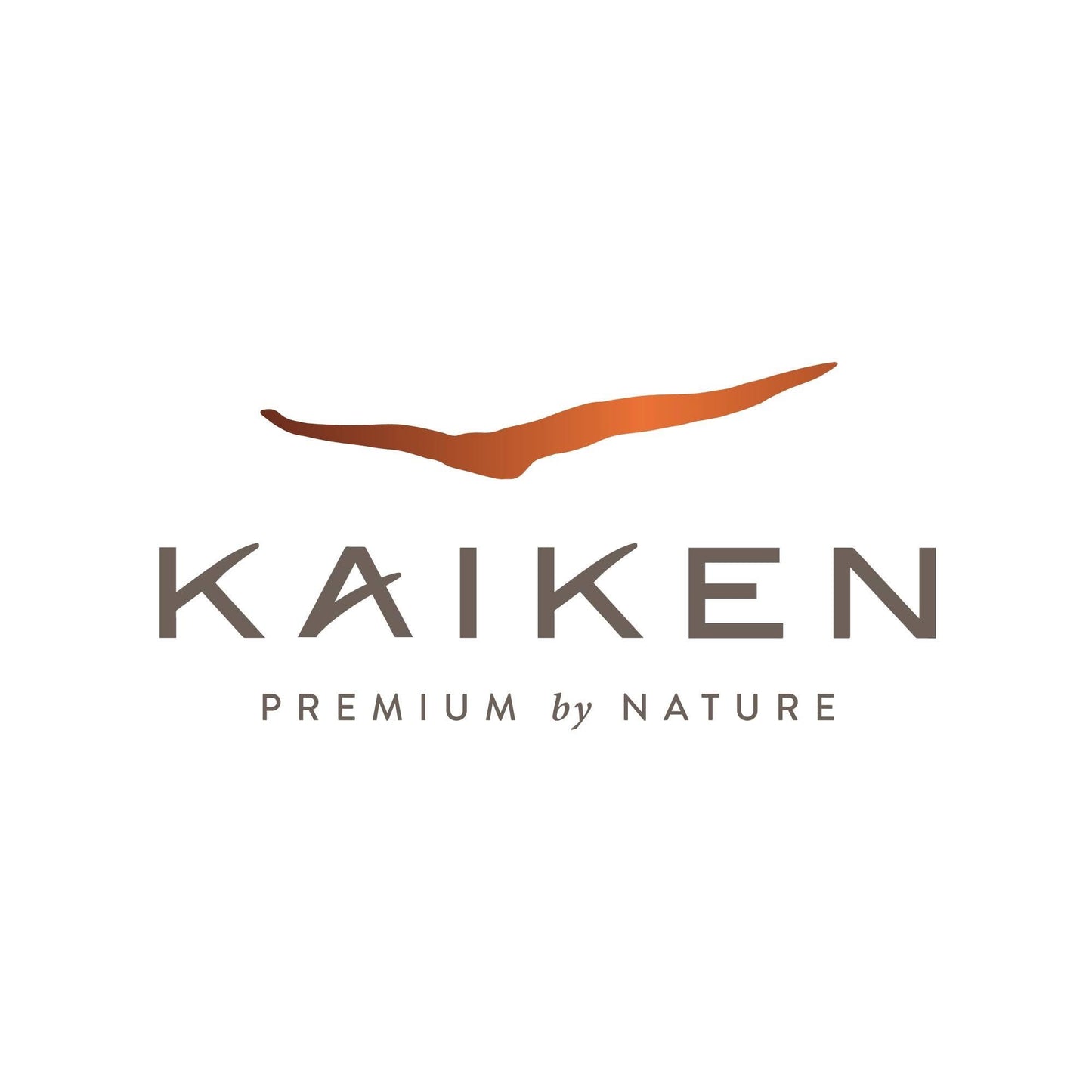 Malbec, Kaiken, Los Chacayes Valle De Uco Norte ‘Aventura’, 750ml