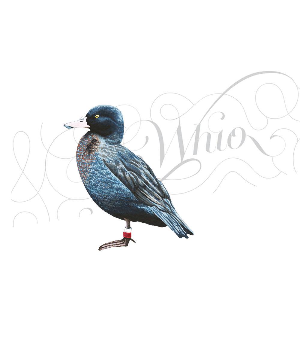 *Double Gold* Vodka, Blue Duck Rare, 70cl, 40%